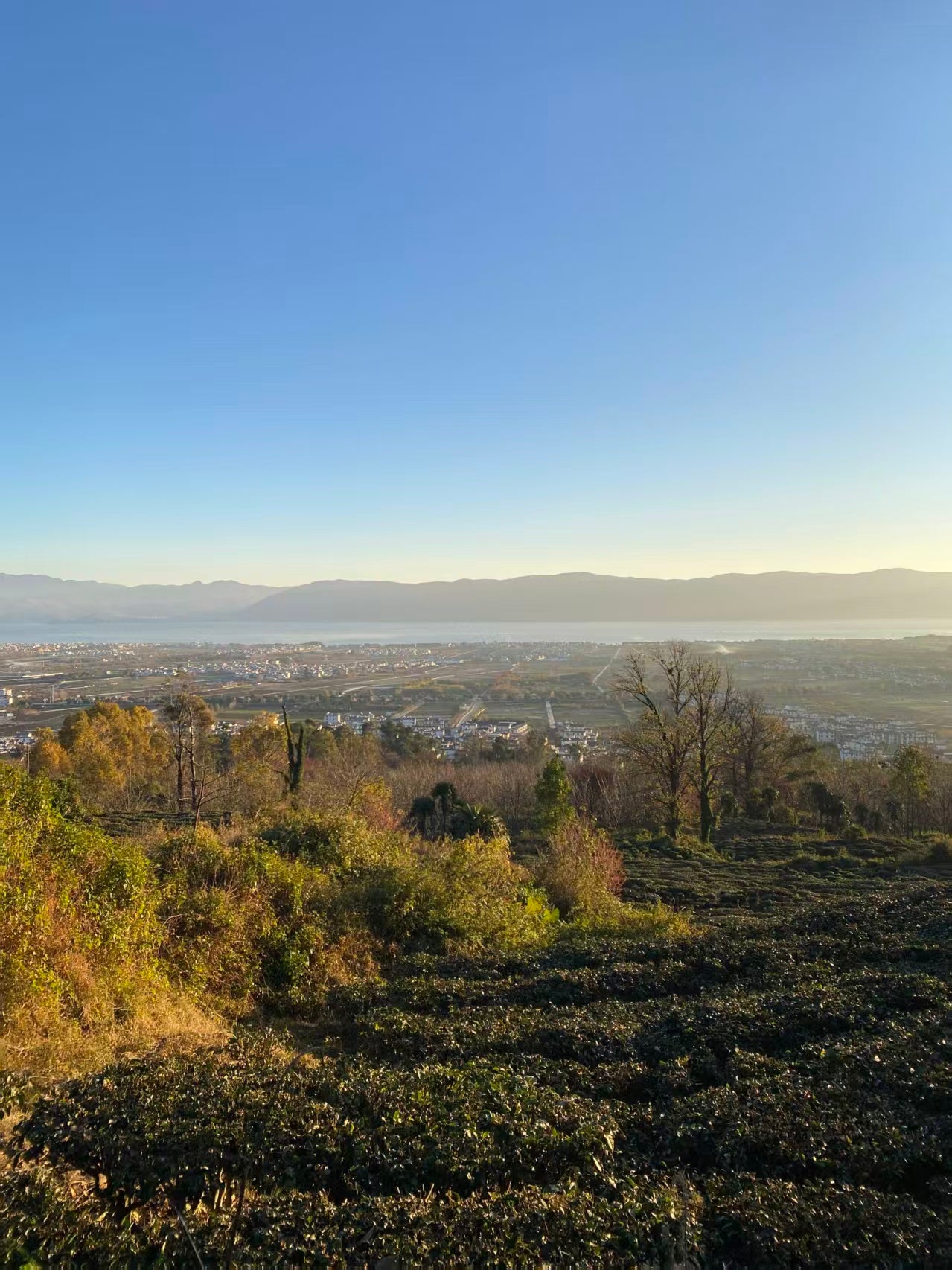 山坡的村庄茶园 | 俯瞰大理的日出日落