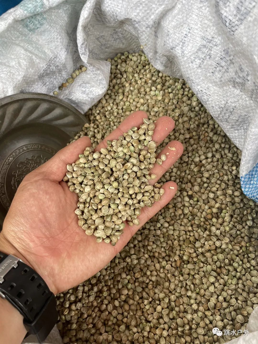 시장에 가세요(모든 마을에는 일주일에 한 번씩 시장이 있습니다)