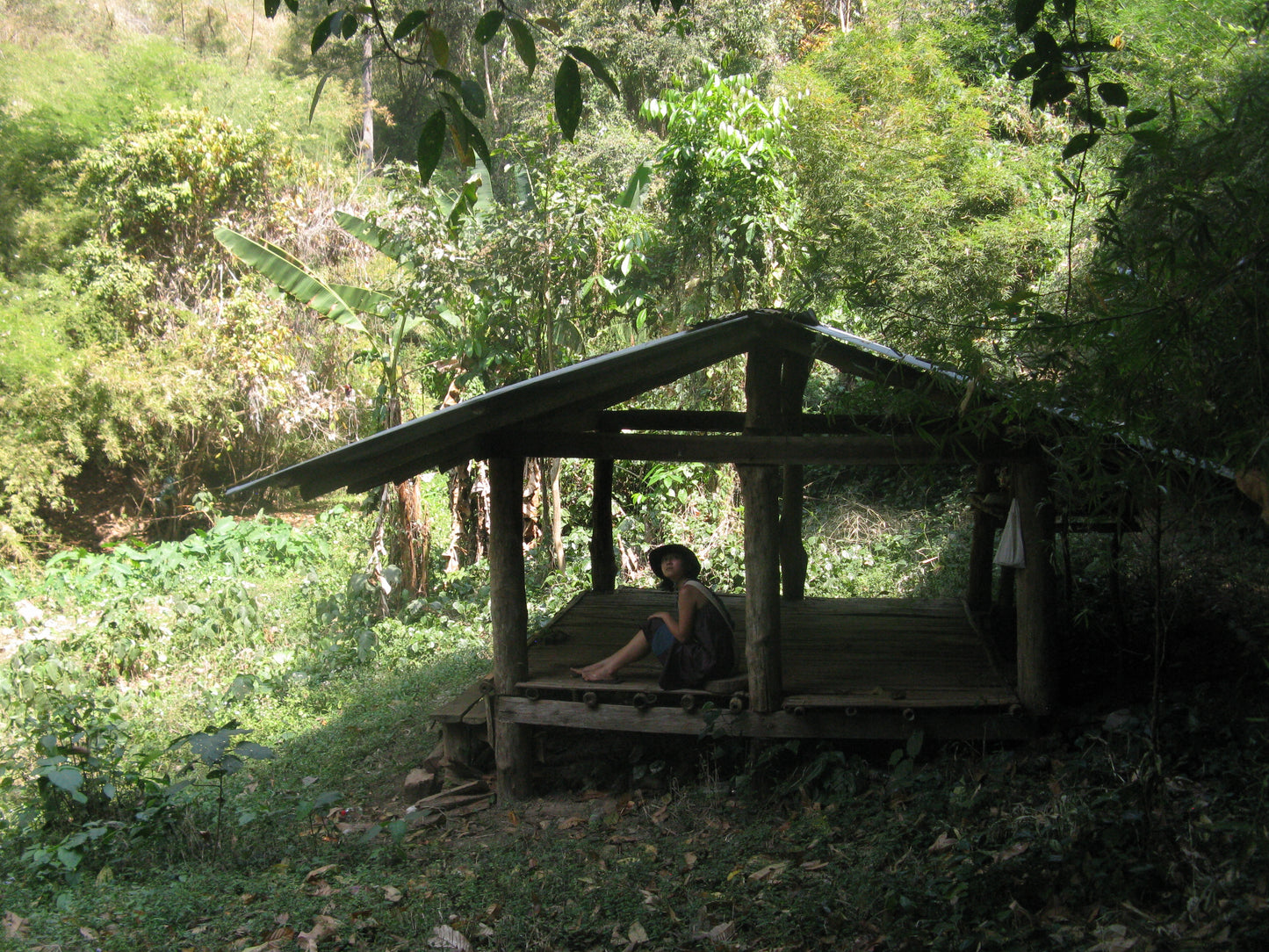 scène de mauvaises herbes