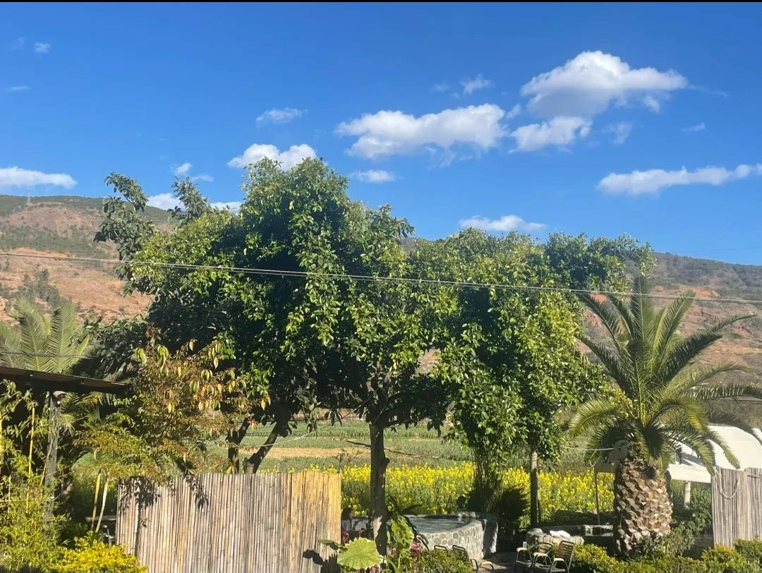 せんか温泉(しもやまぐち)