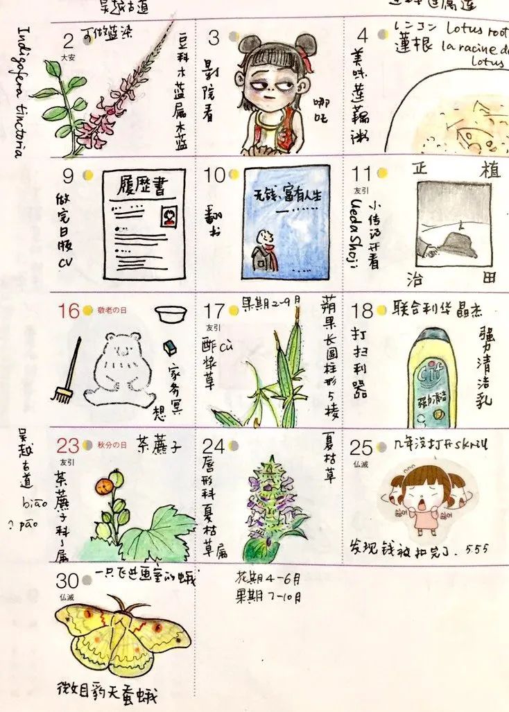 菲比的语言翻译