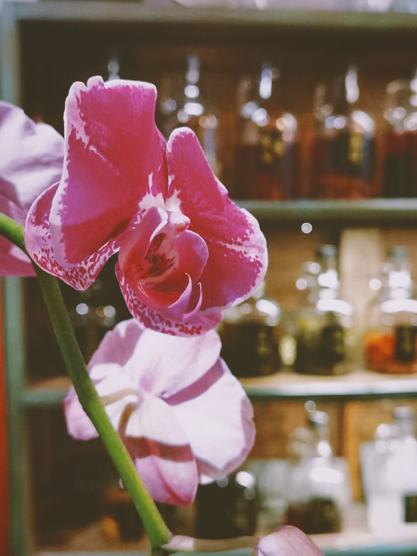 Xi's Living Room (Bar and Performance)