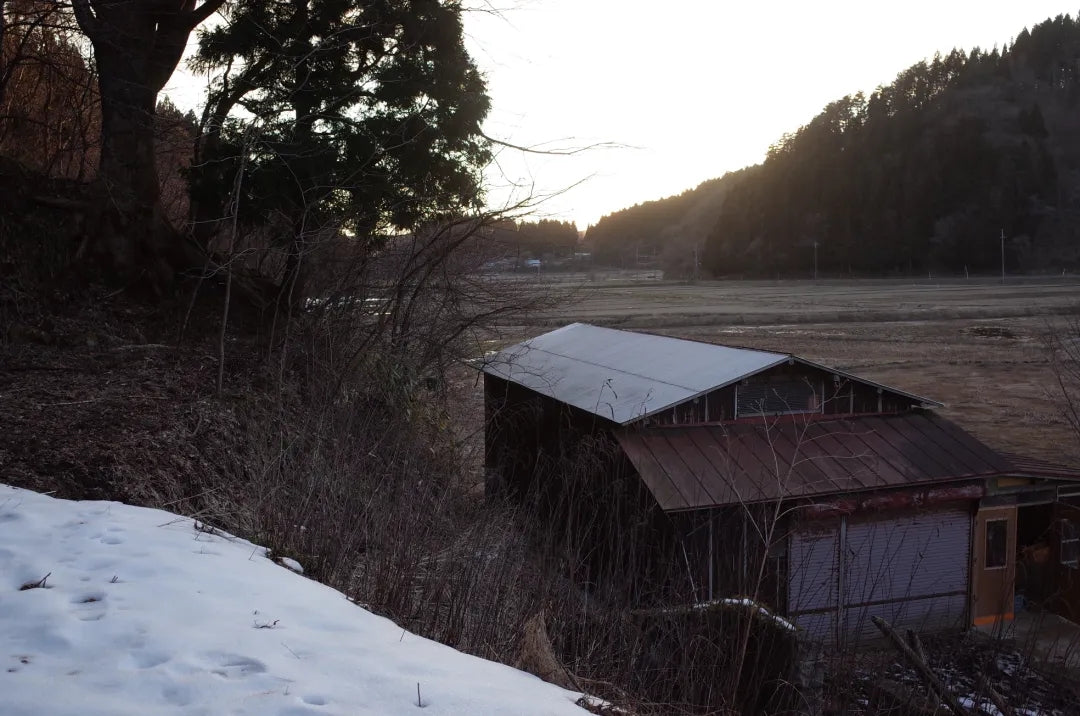 杂草景日记｜秋田藤里町