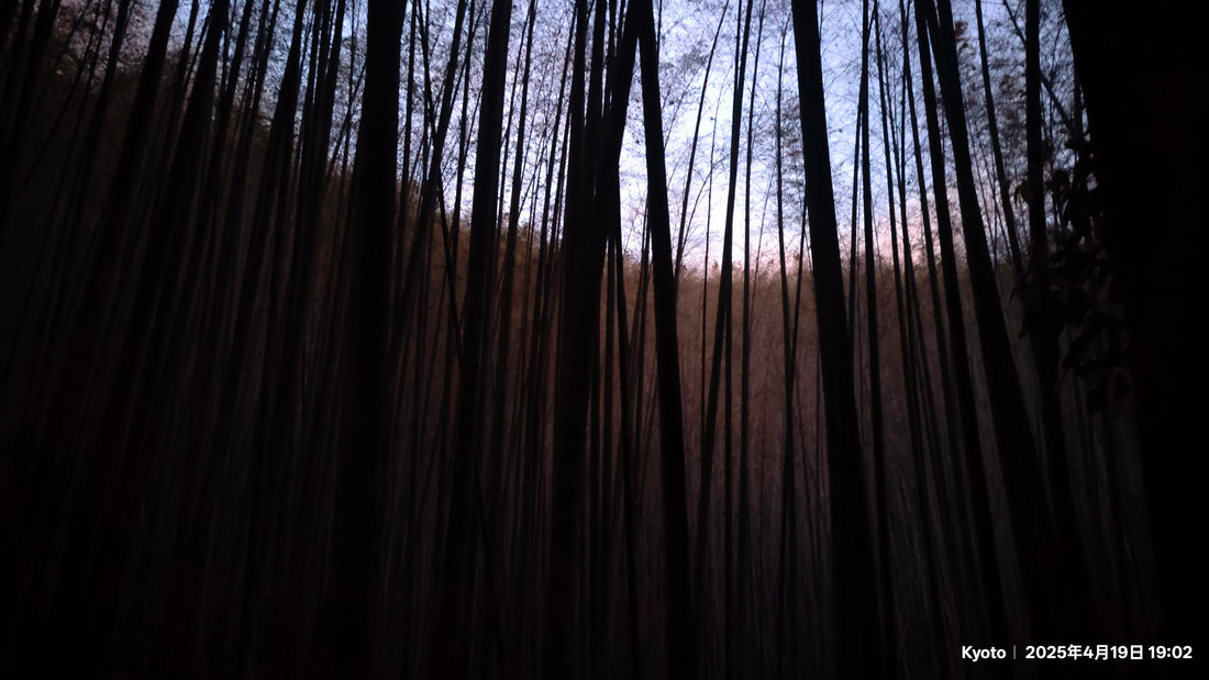 良子 | 再见，无量山，再见，墨西哥女郎