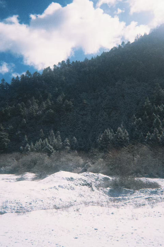 小羊 | 香格里拉的雪地旅行回忆