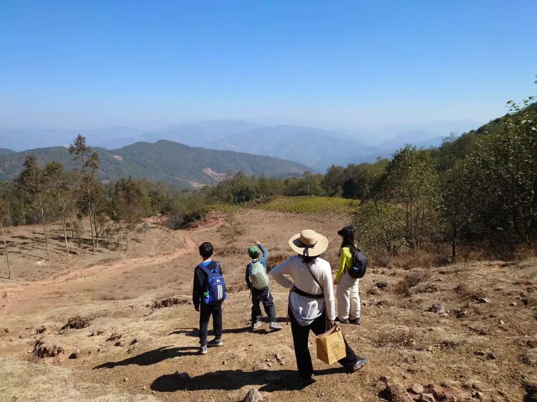 一个点 | 五个活动·六样领队