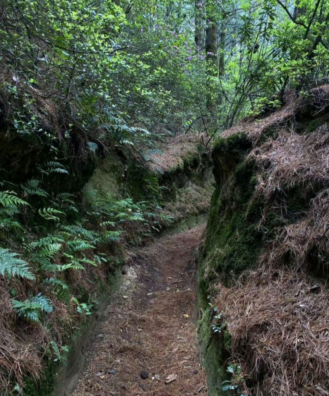 AB双蝶 | 偶遇一个折叠的世界