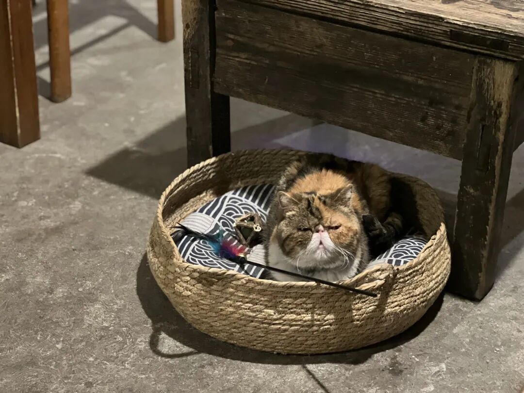 汤汤 | 你随手写下的东西，会在时间里遇到对的人