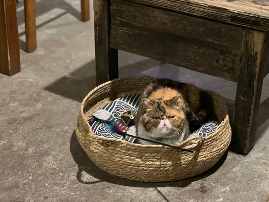 汤汤 | 你随手写下的东西，会在时间里遇到对的人