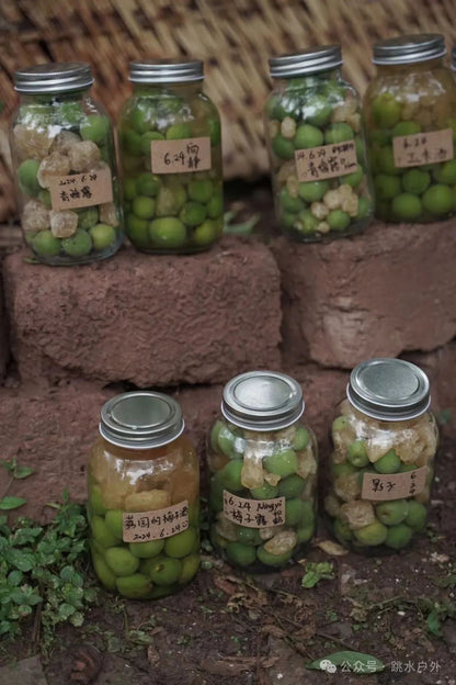 (Junio, julio) Recoger ciruelas en las montañas | Elaborar una botella de vino de ciruela verde