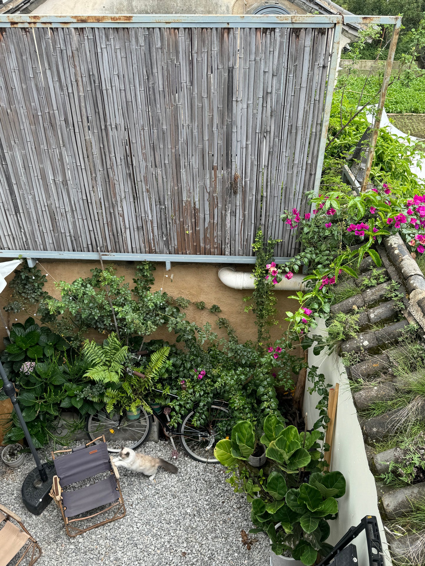 Una casa de familia junto a los campos en Aruna Village (todo el segundo piso con balcón)