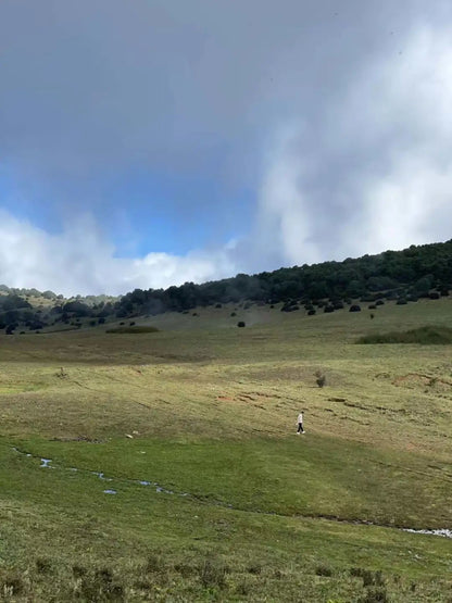 Wanderung zum Berg Jizu | Ein buddhistischer Pilgerweg (mittlere Distanz)