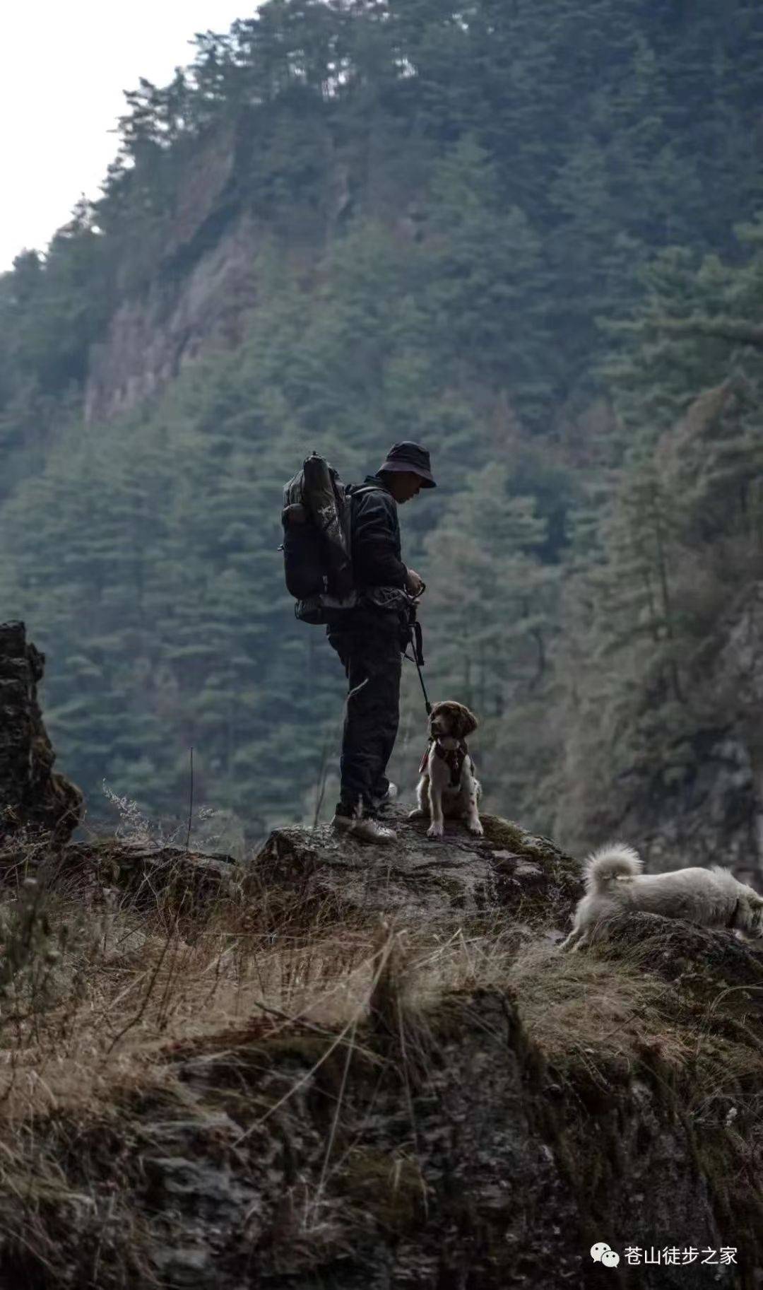 Wandern Sie zum Zhonghe-Tempel, genießen Sie eine vegetarische Mahlzeit und überqueren Sie den Zhonghe Grand Canyon (mittlere Distanz)