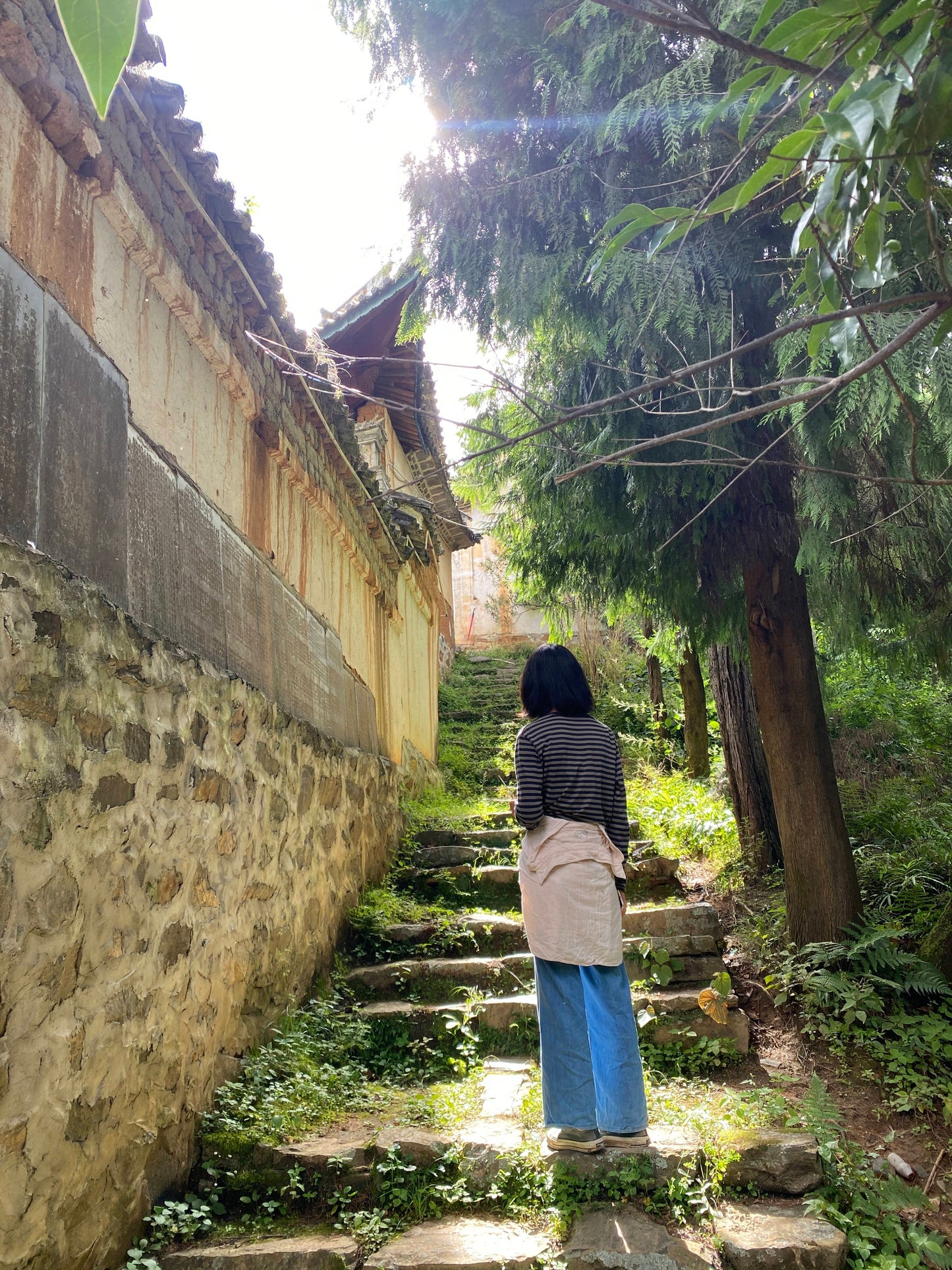 凤羽山野轻徒步｜乡村、田野和古寺
