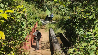 Qingsuo Village | Ancient village and ancient bridge on the Miju River (Shangguan)