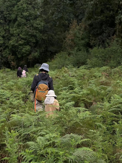 (6-11月) 苍山西坡露营