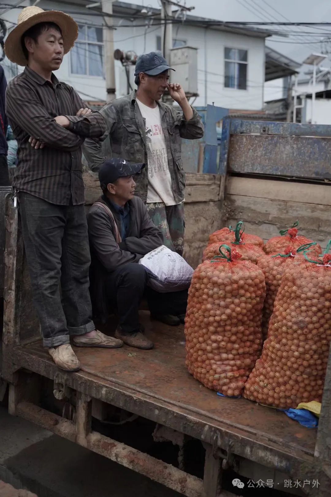 (Tháng 6, tháng 7) Hái mận trên núi | Pha một chai rượu mận xanh