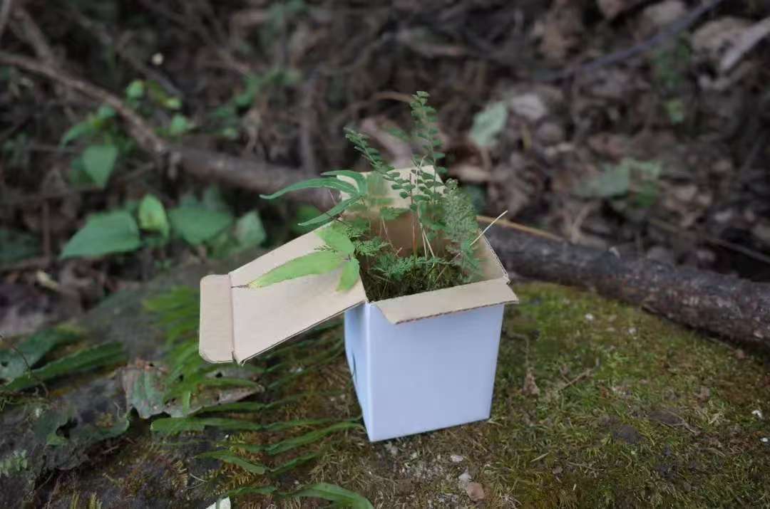 Va dans la forêt et fabrique une bouteille de mousse 