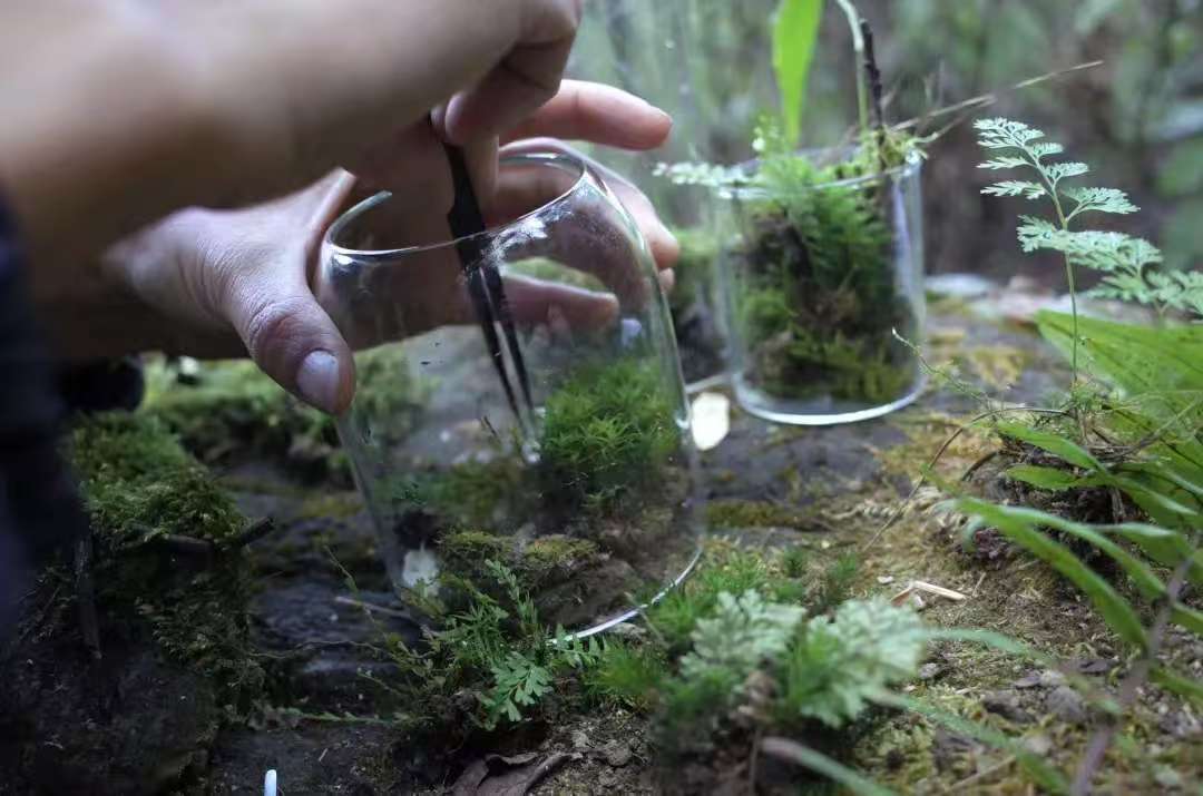 Va dans la forêt et fabrique une bouteille de mousse 