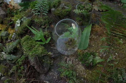 Va dans la forêt et fabrique une bouteille de mousse 