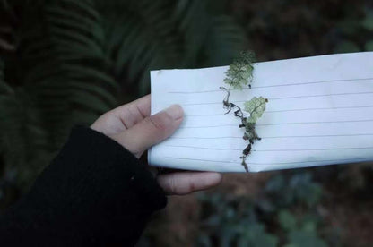 Va dans la forêt et fabrique une bouteille de mousse 