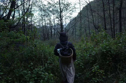 Va dans la forêt et fabrique une bouteille de mousse 