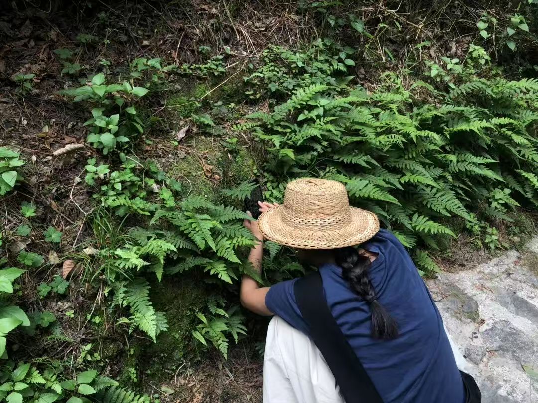 Va dans la forêt et fabrique une bouteille de mousse 