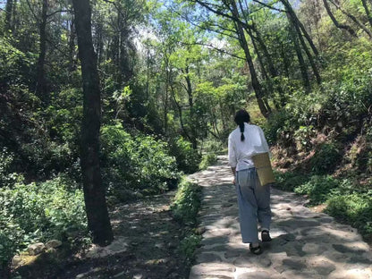 Va dans la forêt et fabrique une bouteille de mousse 