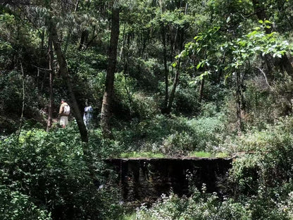 Geh in den Wald und bastel eine Moosflasche