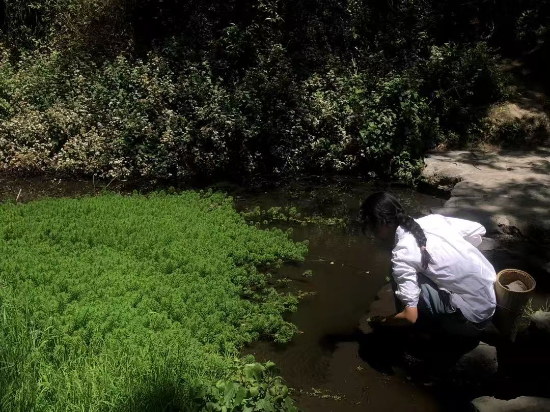 Va dans la forêt et fabrique une bouteille de mousse 