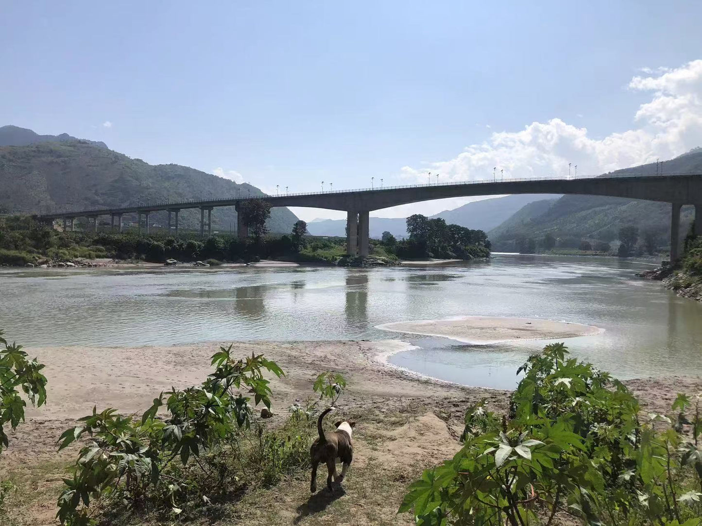 怒江边2天露营和高黎贡山咖啡庄园