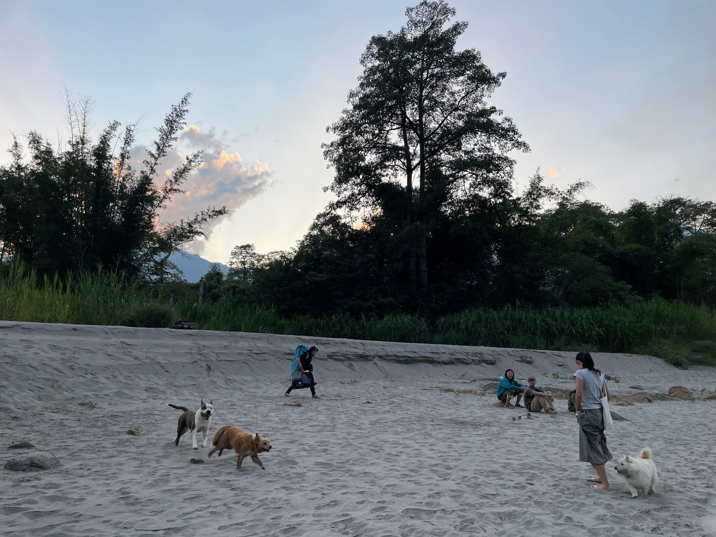 Campamento de 2 días junto al río Nujiang y la plantación de café de la montaña Gaoligong