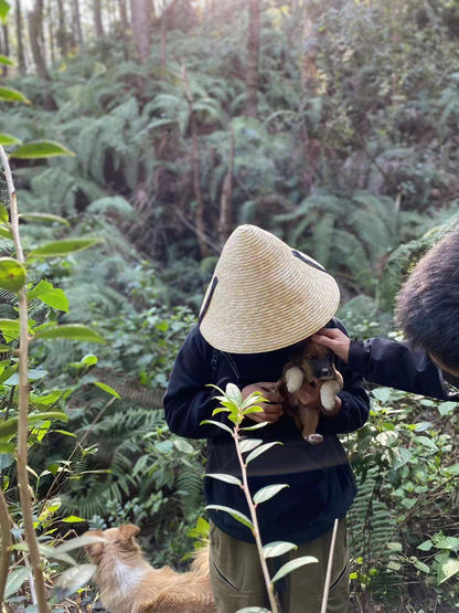 Caminata ligera por Kuosongping | Campos, arroyos y bosques