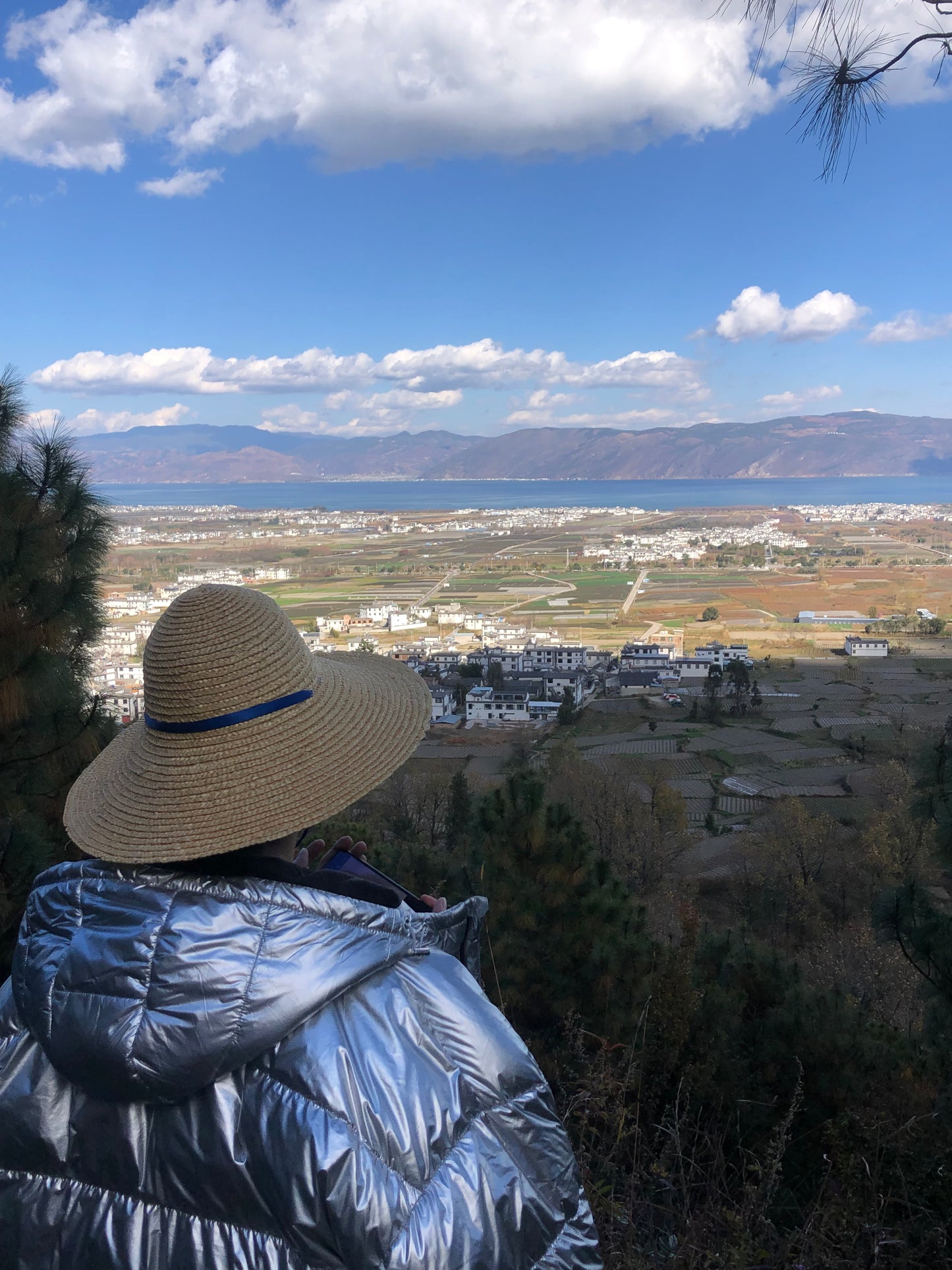 去苍山野道捡松果松子