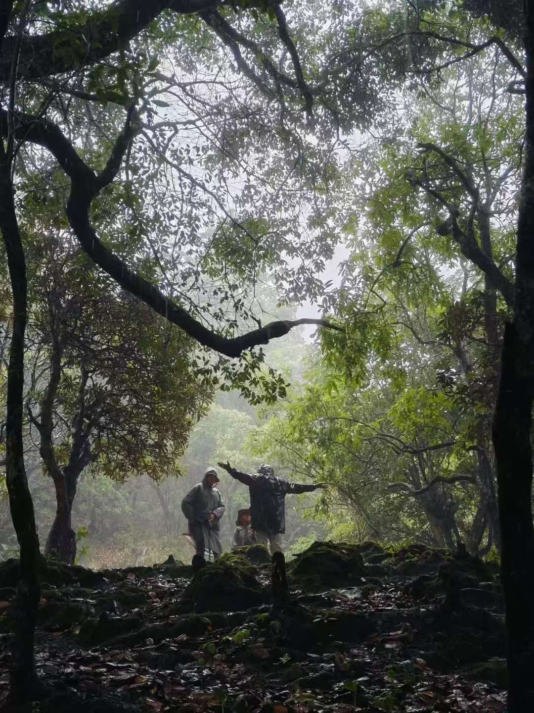 (Junio-noviembre) Campamento en la ladera oeste de la montaña Cangshan