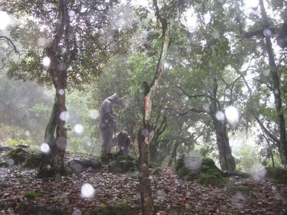 (Junio-noviembre) Campamento en la ladera oeste de la montaña Cangshan