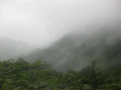 (Junio-noviembre) Campamento en la ladera oeste de la montaña Cangshan