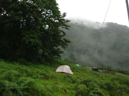 (Junio-noviembre) Campamento en la ladera oeste de la montaña Cangshan