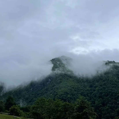 (Junio-noviembre) Campamento en la ladera oeste de la montaña Cangshan