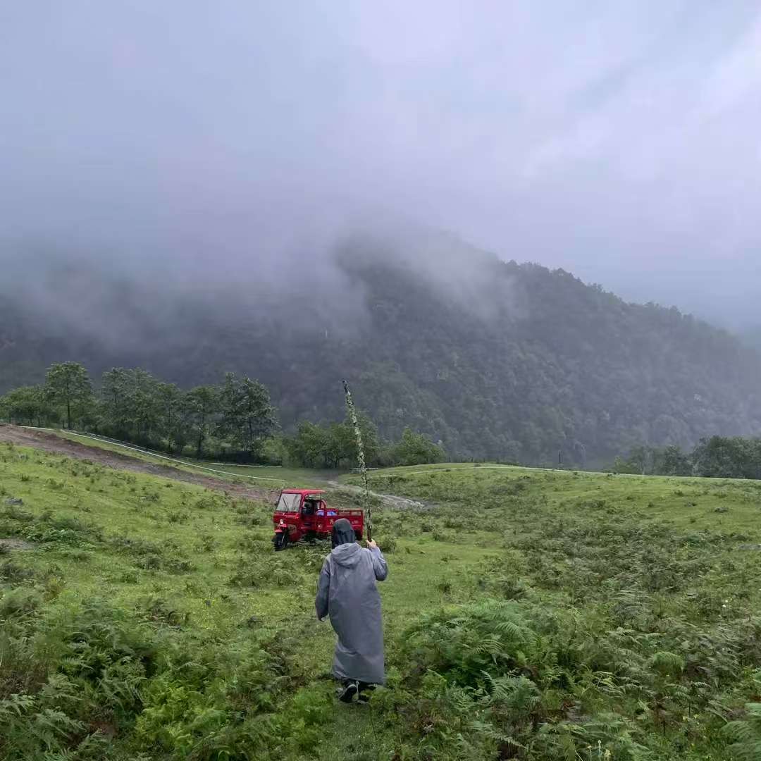 (Junio-noviembre) Campamento en la ladera oeste de la montaña Cangshan