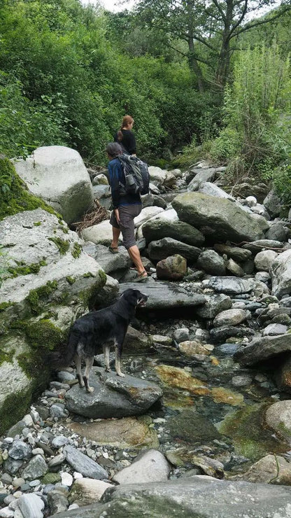 Caminata por el río en el arroyo para niños de 6 años en adelante