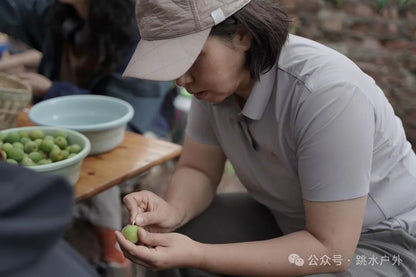 (Tháng 6, tháng 7) Hái mận trên núi | Pha một chai rượu mận xanh