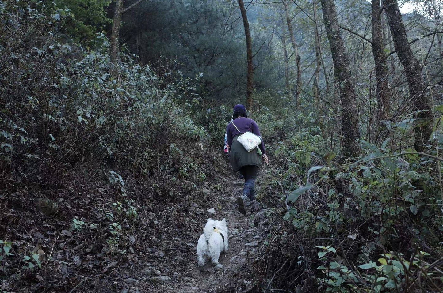 Caminata ligera por Kuosongping | Campos, arroyos y bosques