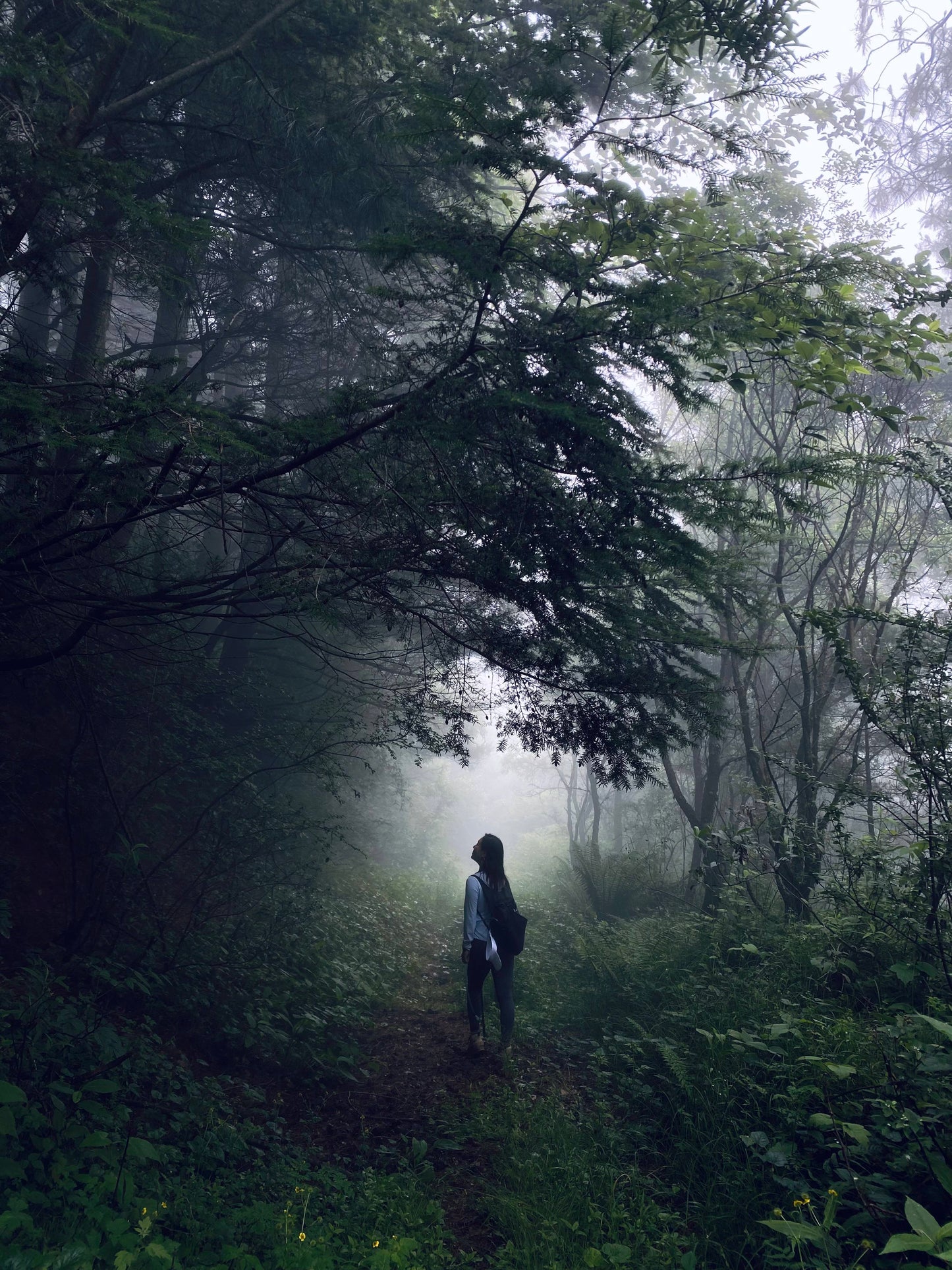 메이시 캐년 하이킹 | 사원, 광산, 제이드 벨트 로드 끝(중간 거리)