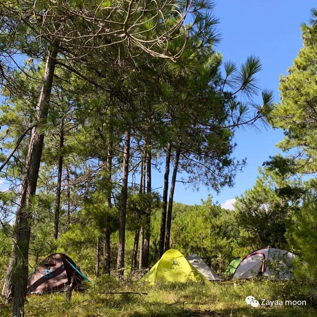 Acampada en la isla y en el bosque del lago | Embalse de Jizi