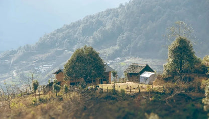 시포 깊은 산 속 &#39;친척&#39; 집에서 보낸 하루 | 창산의 저편