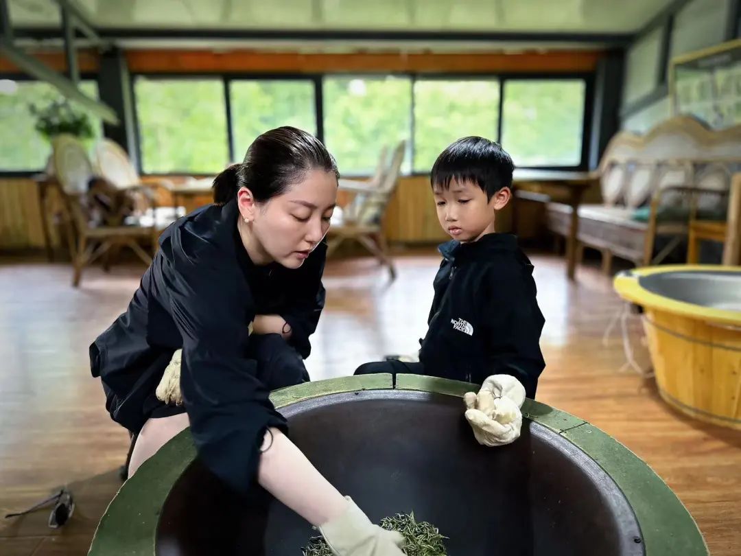 （4月-11月）採茶炒茶| 溪畔的茶園