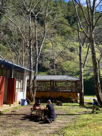 澜沧江的两天旅行 ｜ 大河、古道、村落和森林