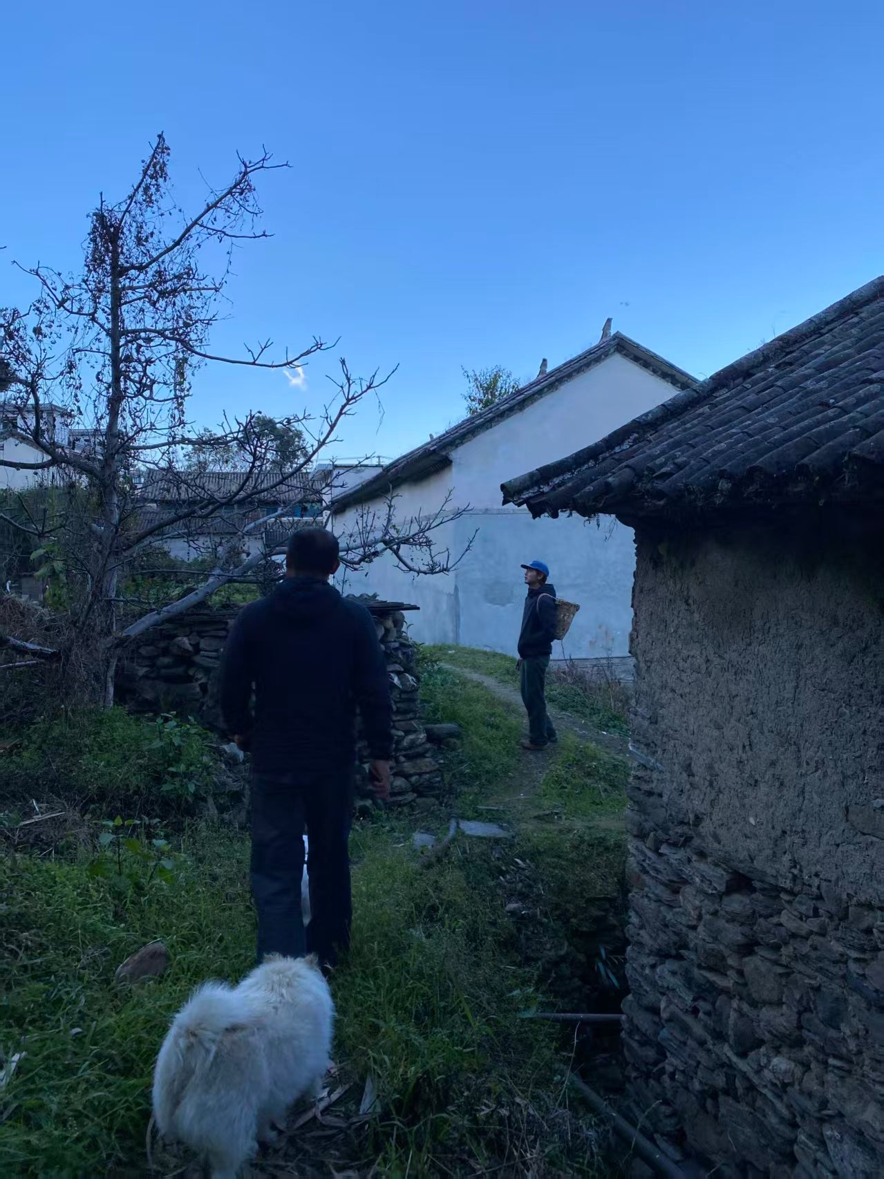 山坡的村庄茶园 ｜ 俯瞰大理的日出日落