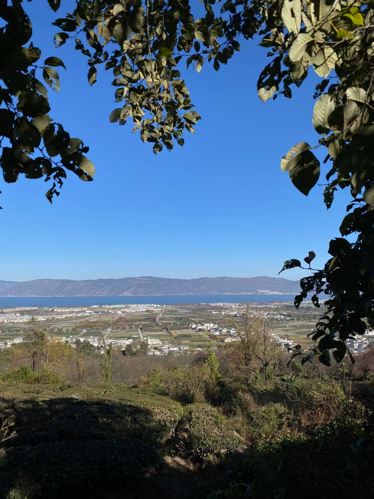 山坡的村庄茶园 ｜ 俯瞰大理的日出日落